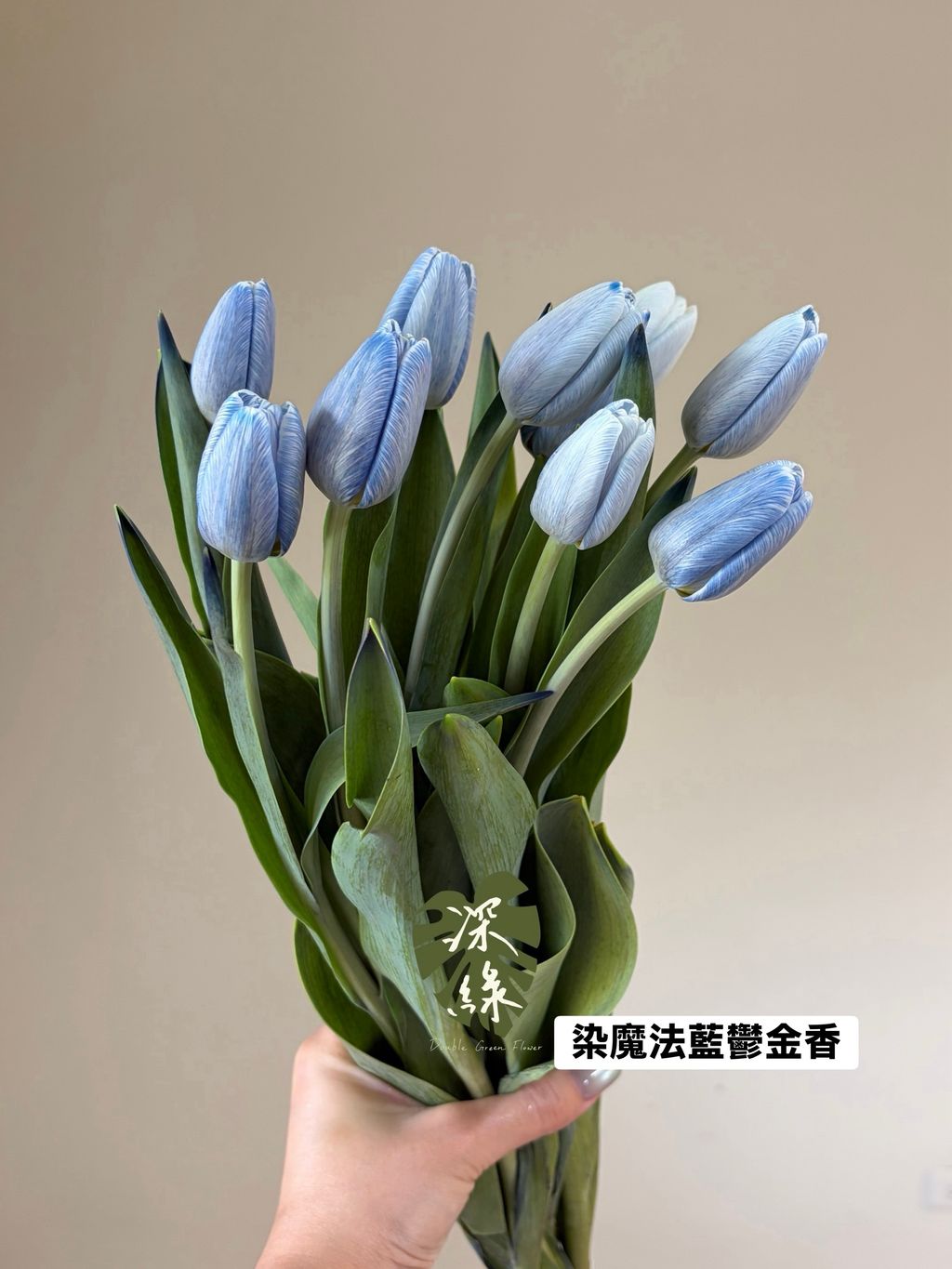 S__55115790