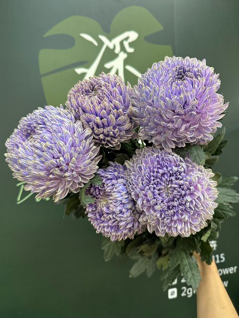 image_B71CD74A-3855-4F25-8407-9ADD1860B160_1784603433