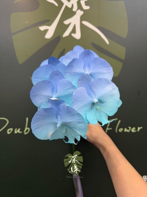 image_1C9D28F4-25BE-4FA0-B57E-BEE4D78A93ED_1785911772