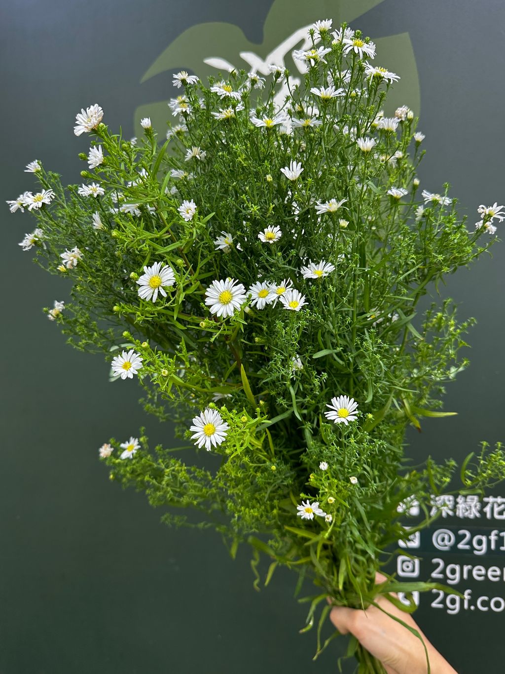 image_B9FECB37-D188-4A18-A0E6-FC545EB3331C_1786065997