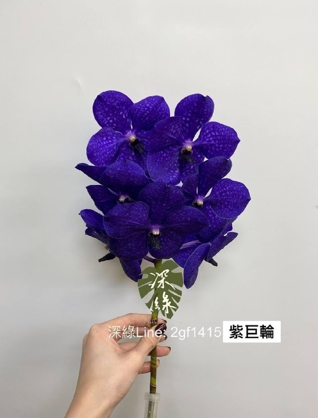 image_17407A6A-75E2-40D8-BC7B-D714A54C32AB_1786066375