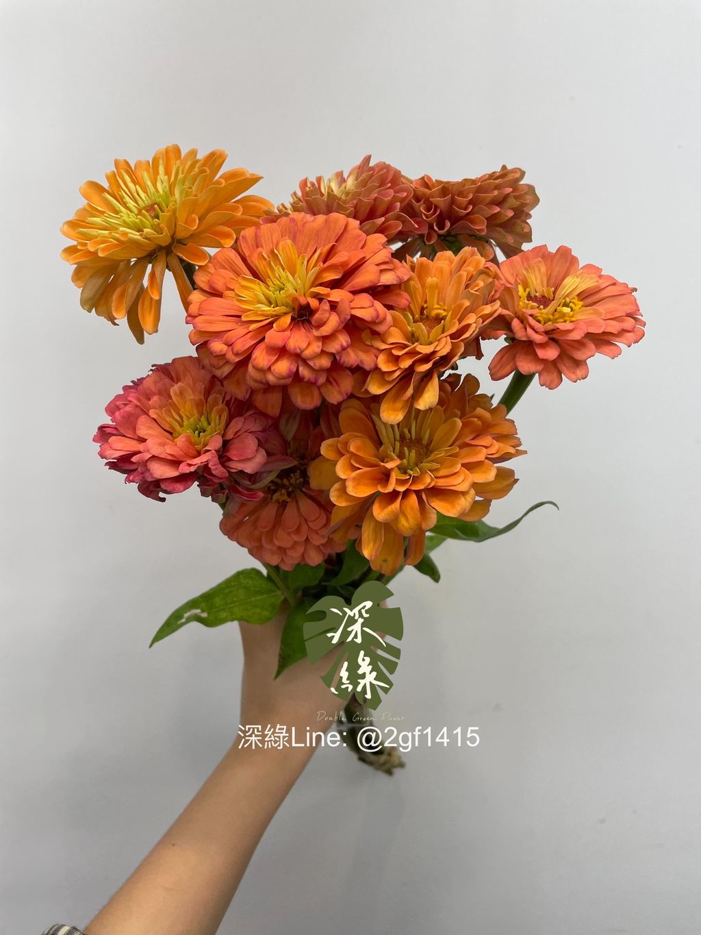 eZy Watermark_25-06-2024_12-10-28-4570下午-1719288897588
