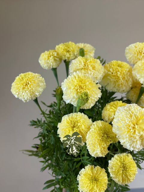 image_713F4ADA-8916-4B4F-8AFC-18A6AD55C6EE_1786343918