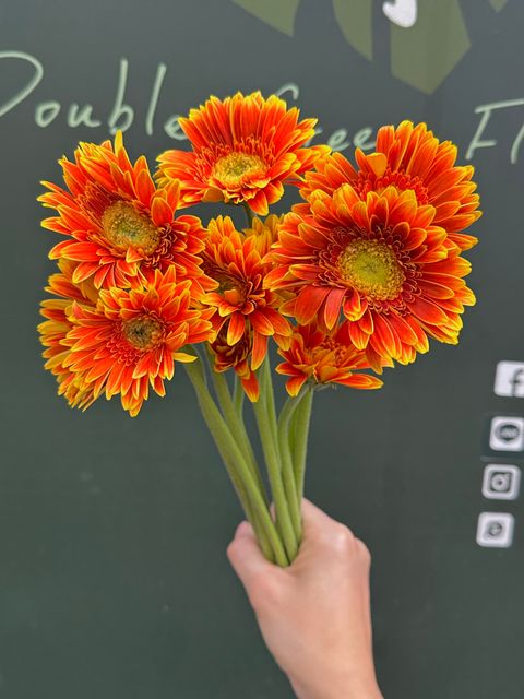 image_6D21A89F-1217-4B19-BB67-CBC36F93B373_1786416233