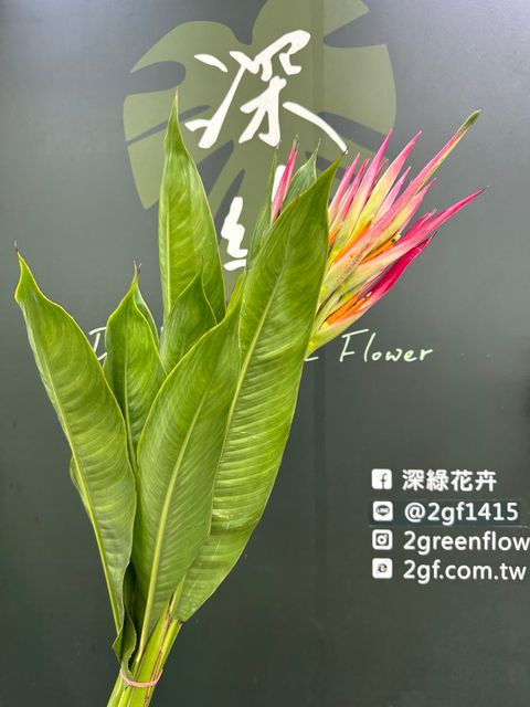image_B02DD77B-D5AC-4A6F-8A9C-B8B38E24209C_1787022943