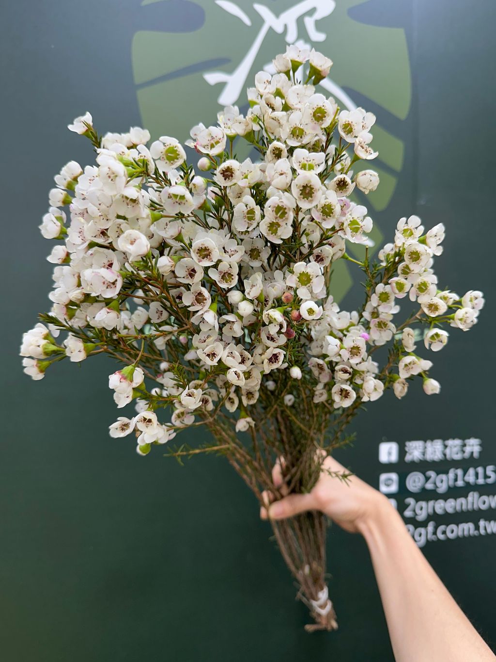 image_2481A7FD-AD58-4F75-90D9-F47DBFC8E2CC_1787194310