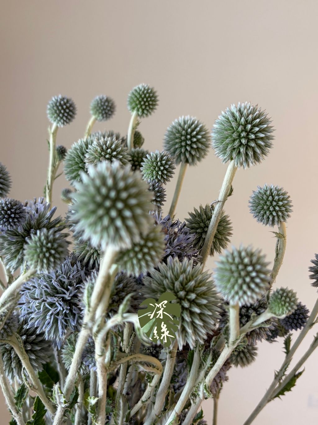 S__55803970_0