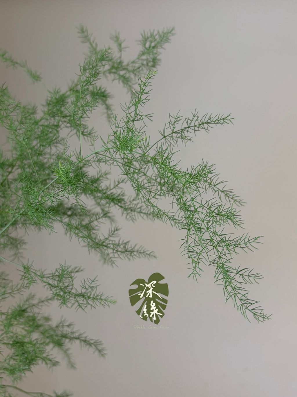 S__55803969_0