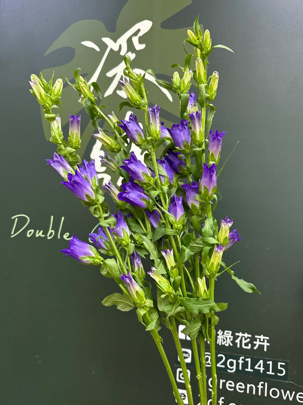 image_EBF7180D-D8AB-4954-BA8E-302FD67F860F_1786504564