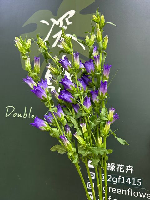 image_EBF7180D-D8AB-4954-BA8E-302FD67F860F_1786504564
