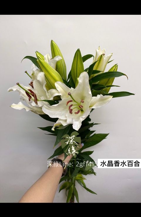 image_BF58FE57-79A0-4401-AA6F-58A04C78C474_1787691083