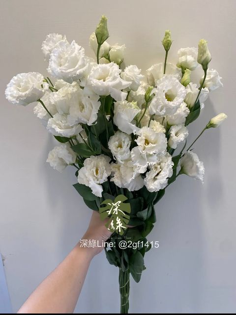image_5AC23BA9-C0F5-4020-B605-3063410C5B75_1787709417