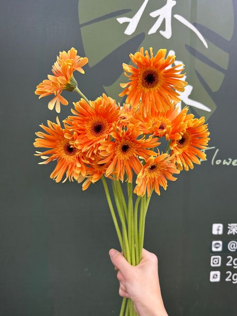 image_20F8829D-C98E-48BA-A860-65369B810C76_1787711385