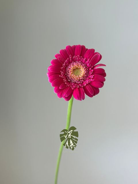 image_3B88AE52-4824-40F1-B9BB-3F52CD11C705_1787768125