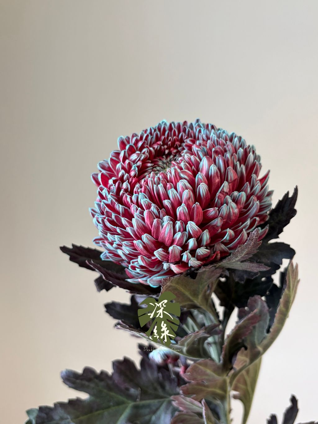 image_8AD074E1-6910-40DB-9CAC-77F363B43168_1787768264