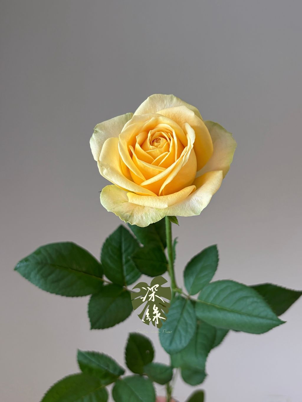 image_ED9EE4D5-88F1-4D17-8465-C4F270C7FBAB_1787768308