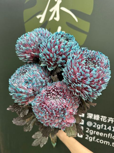 image_6D2FE63A-5441-4D5A-8227-76D8276ECB88_1788227726