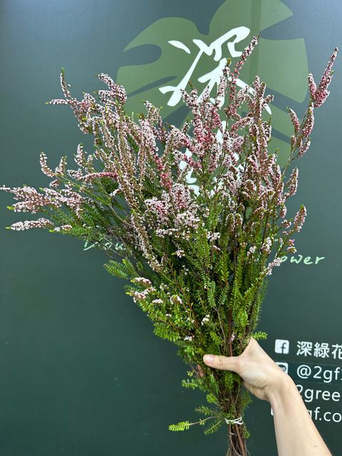 image_6DACF56C-7209-43ED-B221-6DD8A5FA4C90_1788755389