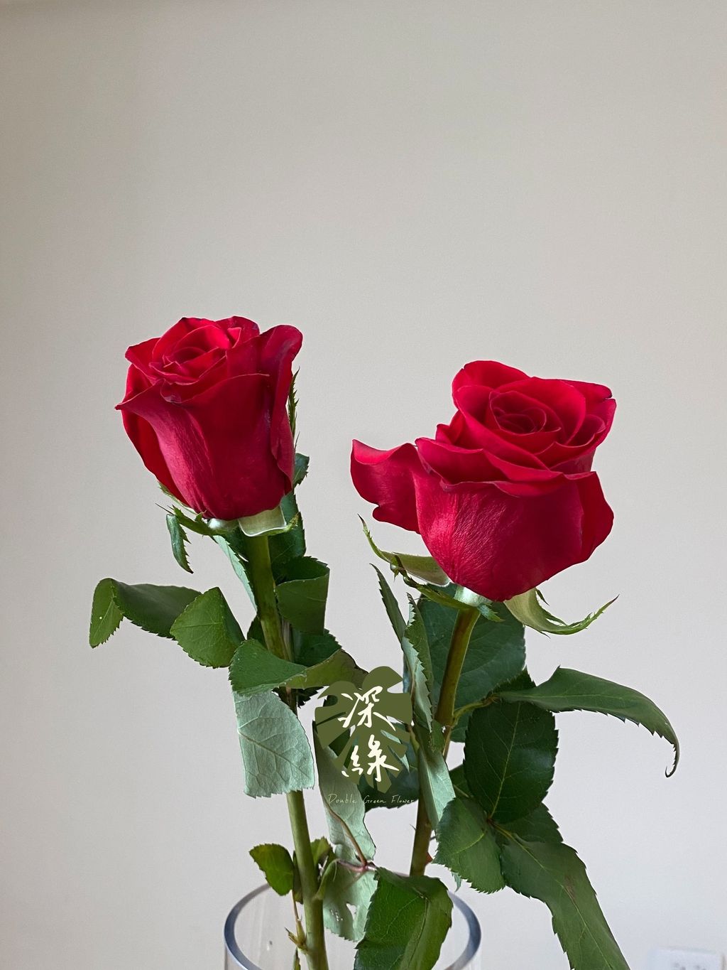 image_509BB998-00BB-4451-BBE0-233C7D689E91_1781414173
