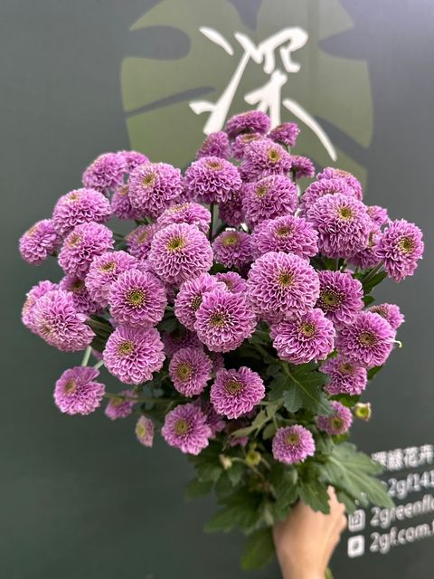 image_949794AF-E114-458E-ACC4-D3386B43BA2F_1788839455