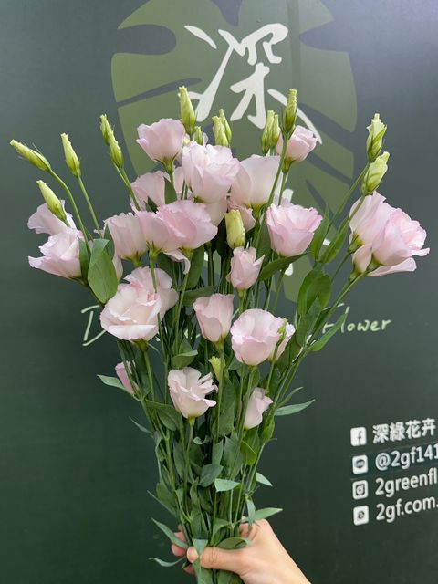 image_86675D76-5DE4-4B9C-BC37-7D7C80E8B4F3_1788839984