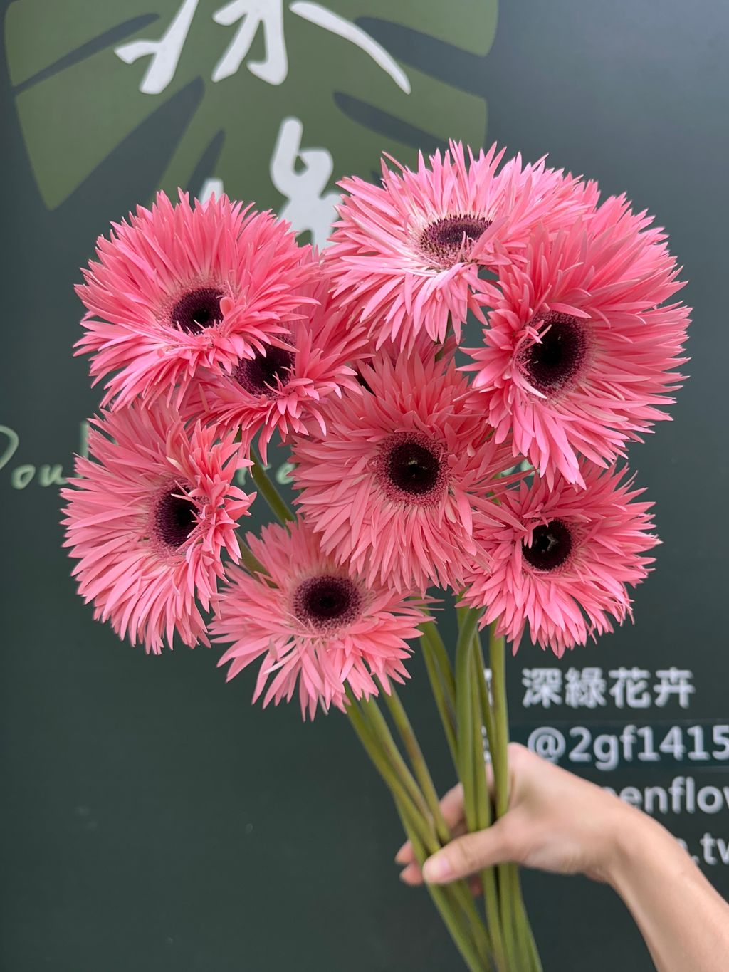image_D442E6BB-12FB-45CE-AEC4-D44705C35358_1789007833