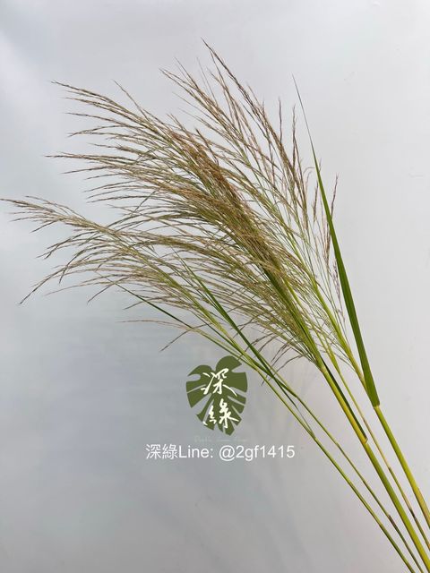 image_40D1ADD3-03B9-45A0-B2DD-9633AF098BC8_1758331050