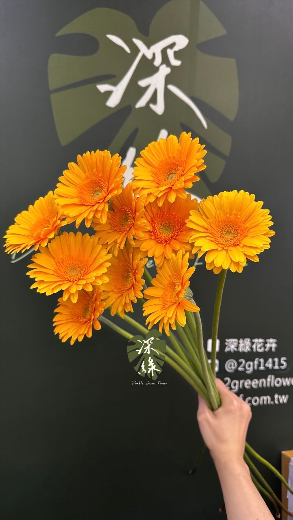 image_9CABB8CC-5DE5-40D1-93B7-DA674688AE54_1774347867