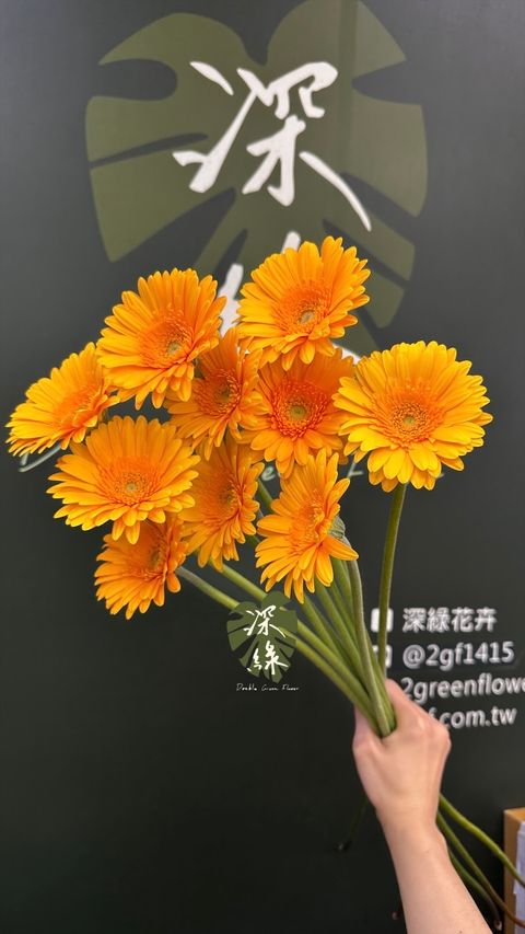 image_9CABB8CC-5DE5-40D1-93B7-DA674688AE54_1774347867