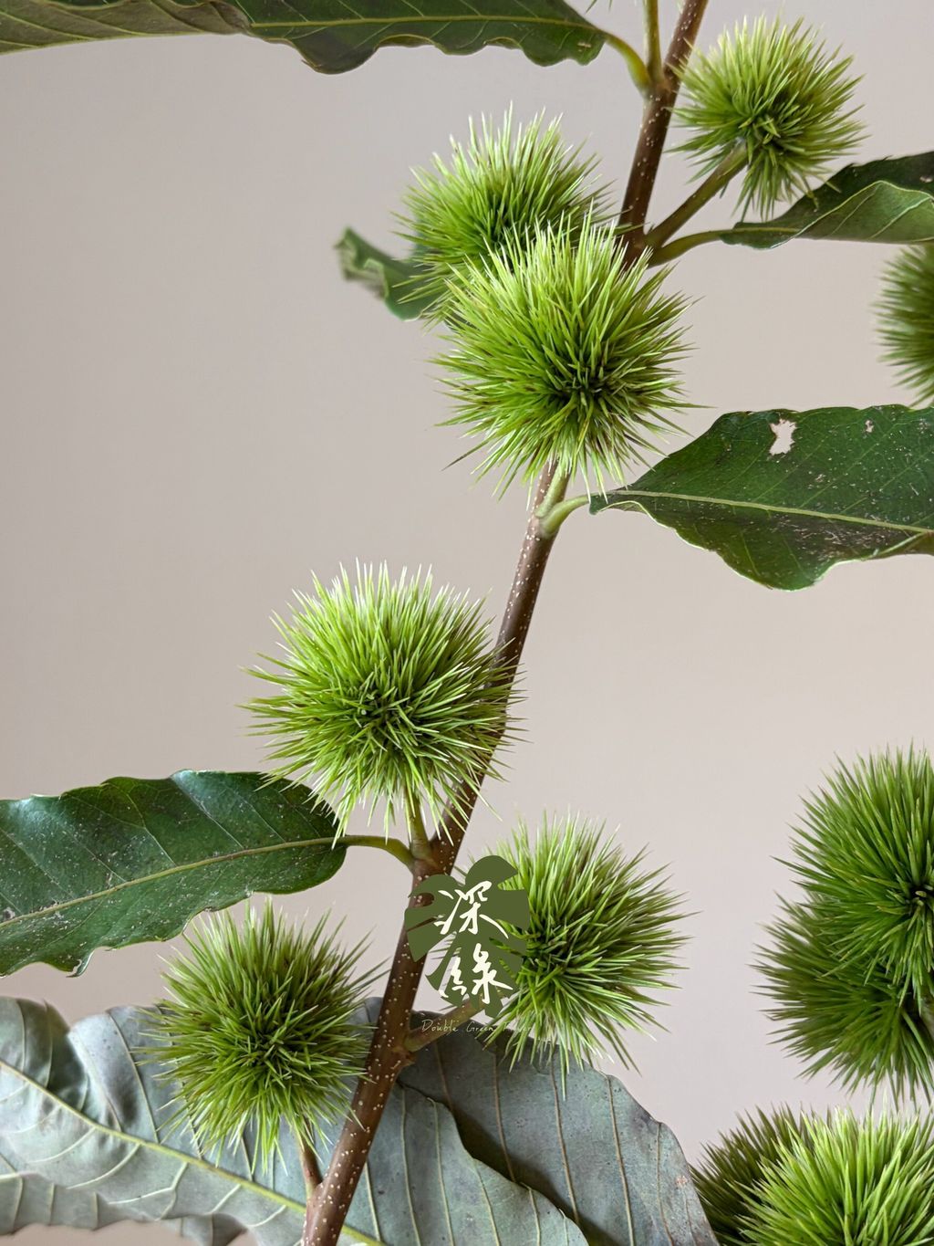 LINE_ALBUM_2026915_260915_5