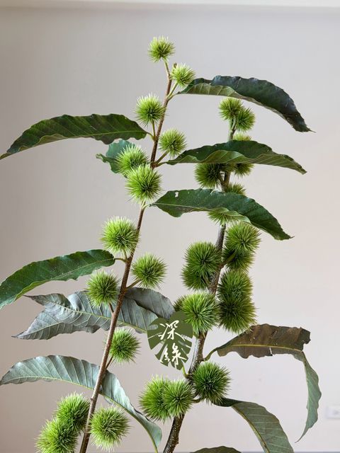 LINE_ALBUM_2026915_260915_4