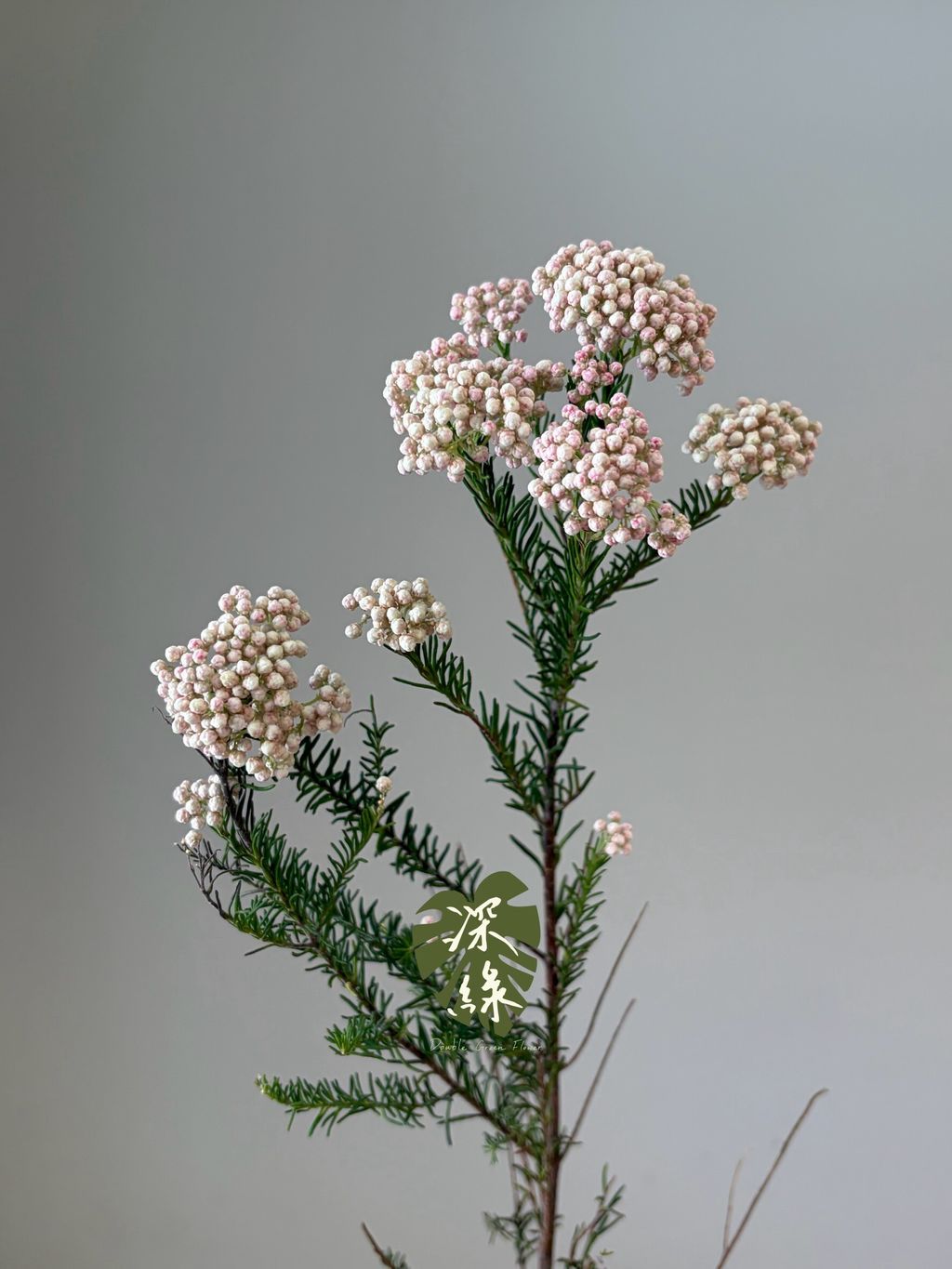 LINE_ALBUM_2026915_260915_8