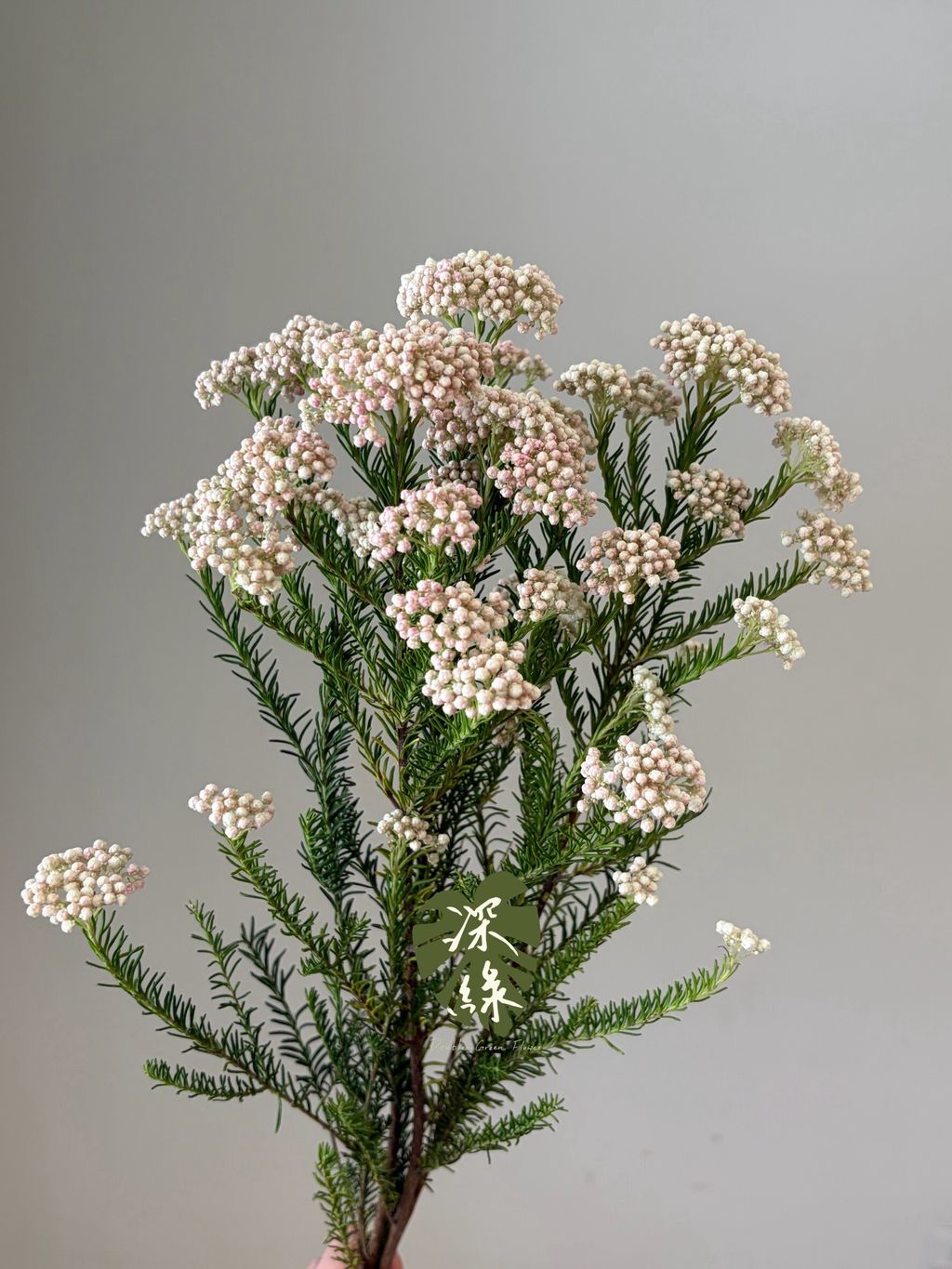 LINE_ALBUM_2026915_260915_9