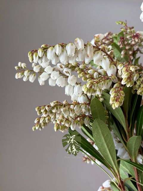 LINE_ALBUM_2026915_260915_14