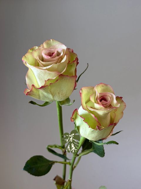 LINE_ALBUM_2026915_260915_28