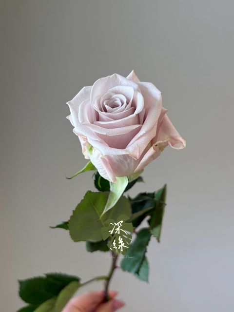 LINE_ALBUM_2026915_260915_30