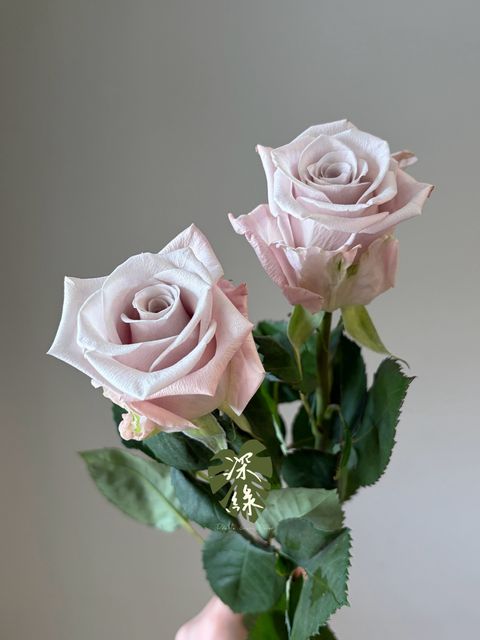 LINE_ALBUM_2026915_260915_31