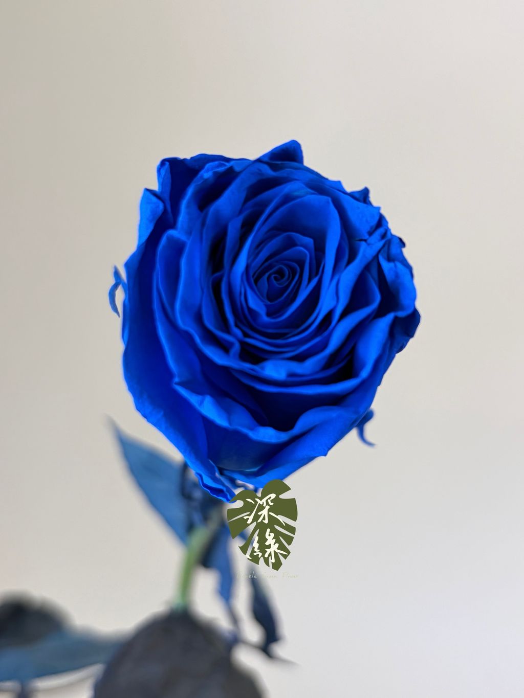 image_7C269A4E-6292-441B-BC8F-9A6DB53440C0_1789414681