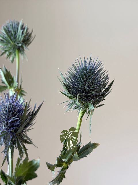 image_6CC53EFE-45D9-4FB0-A754-DD0FAA4F1BA0_1789453527