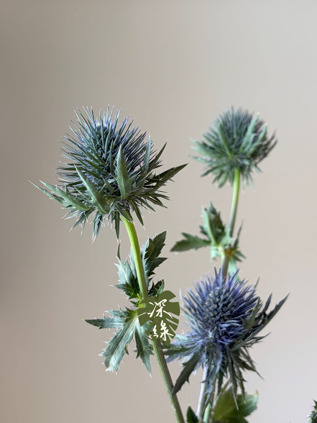 image_549BD280-1007-42FF-9486-D6A3D6DB81A2_1789453527