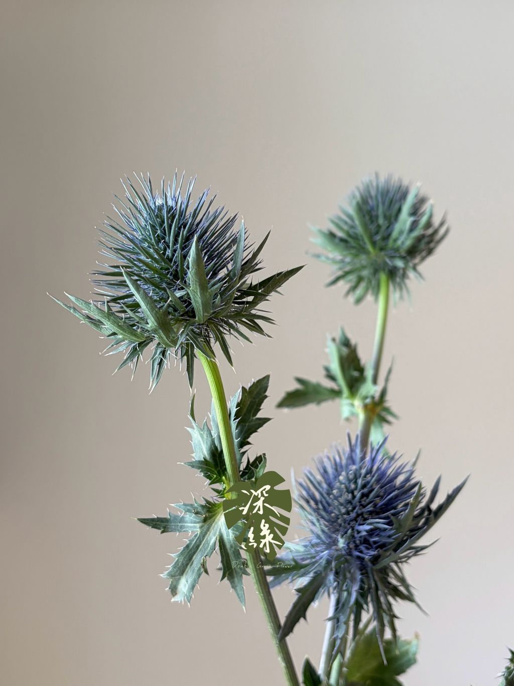LINE_ALBUM_2026915 _1_260915_8
