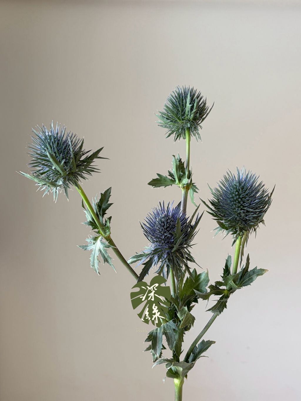 LINE_ALBUM_2026915 _1_260915_1