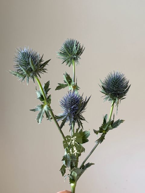 LINE_ALBUM_2026915 _1_260915_3