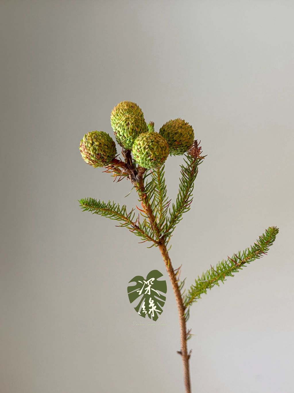 LINE_ALBUM_2026915 _1_260915_12