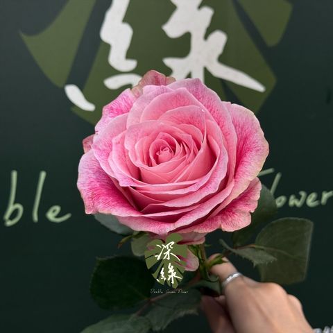 image_F127A3BC-FA7F-4477-A382-F85C8B738D23_1789457550