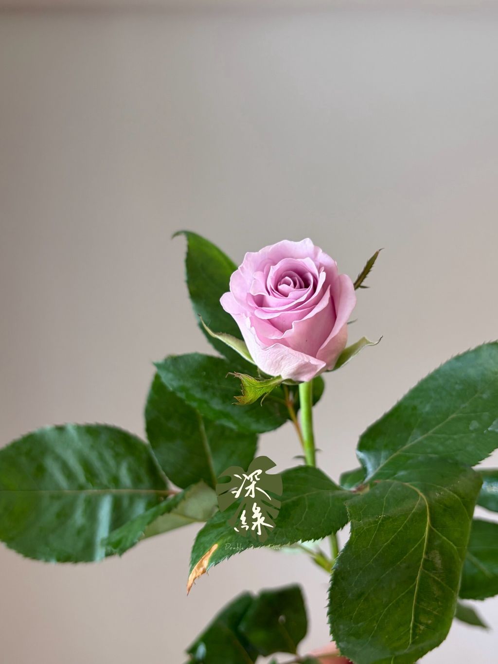 LINE_ALBUM_2026915 _1_260915_64