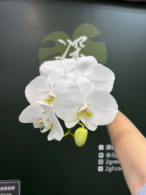 image_CF7FE6C3-00F3-4469-A555-318BE539B0B0_1789535711