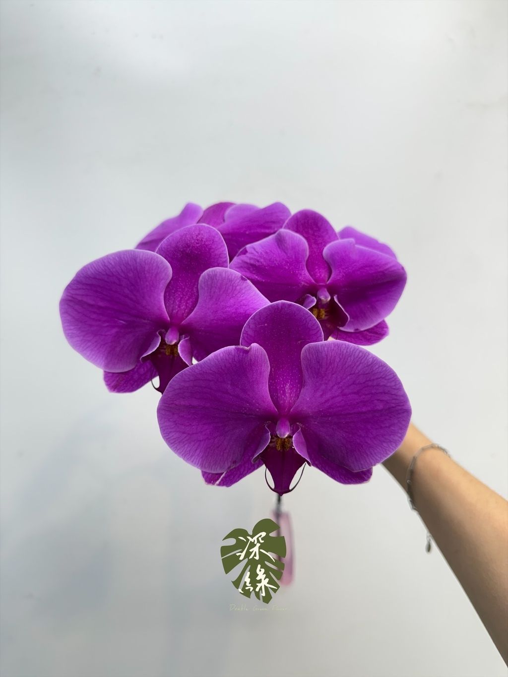 image_0C57E2F8-9BD6-49DF-9679-1E1A43DD5890_1790149625