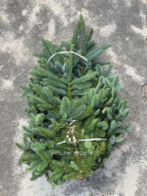 messageImage_1790186405222