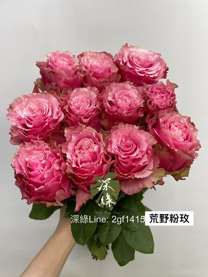 image_C4CFDAAE-118B-44C2-BC0B-5F39F5CA0961_1790478604